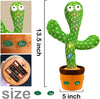 Dancing Cactus