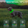 Led Pet Collar