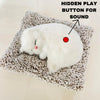 Sleeping Cute Cat for Car Dashboard and Home Decor with Activated Carbon