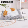 Sleeping Cute Cat for Car Dashboard and Home Decor with Activated Carbon