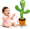 Dancing Cactus