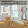 Interactive Laser Toy