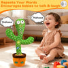 Dancing Cactus