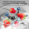 Portable Blender for Shakes & Smoothies